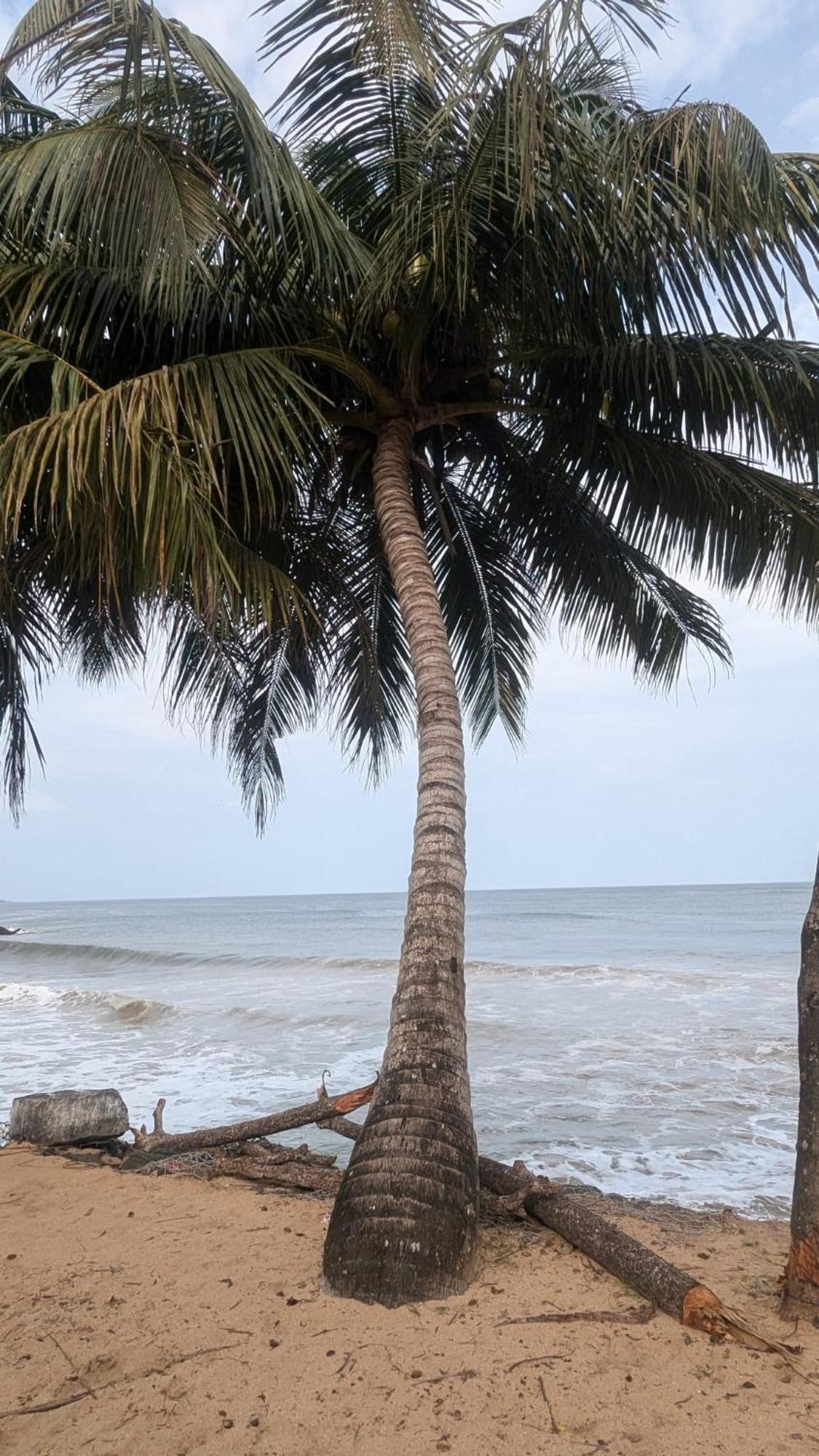 Chandi Gaya Beach Guesthouse Tangalle Eksteriør billede
